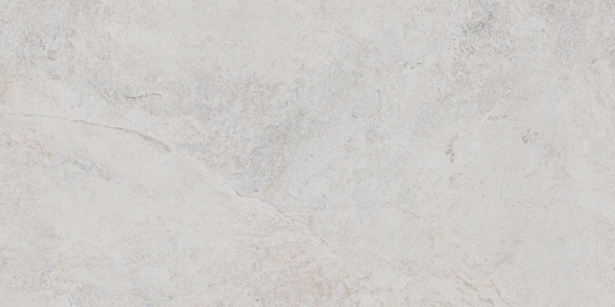 Palm White